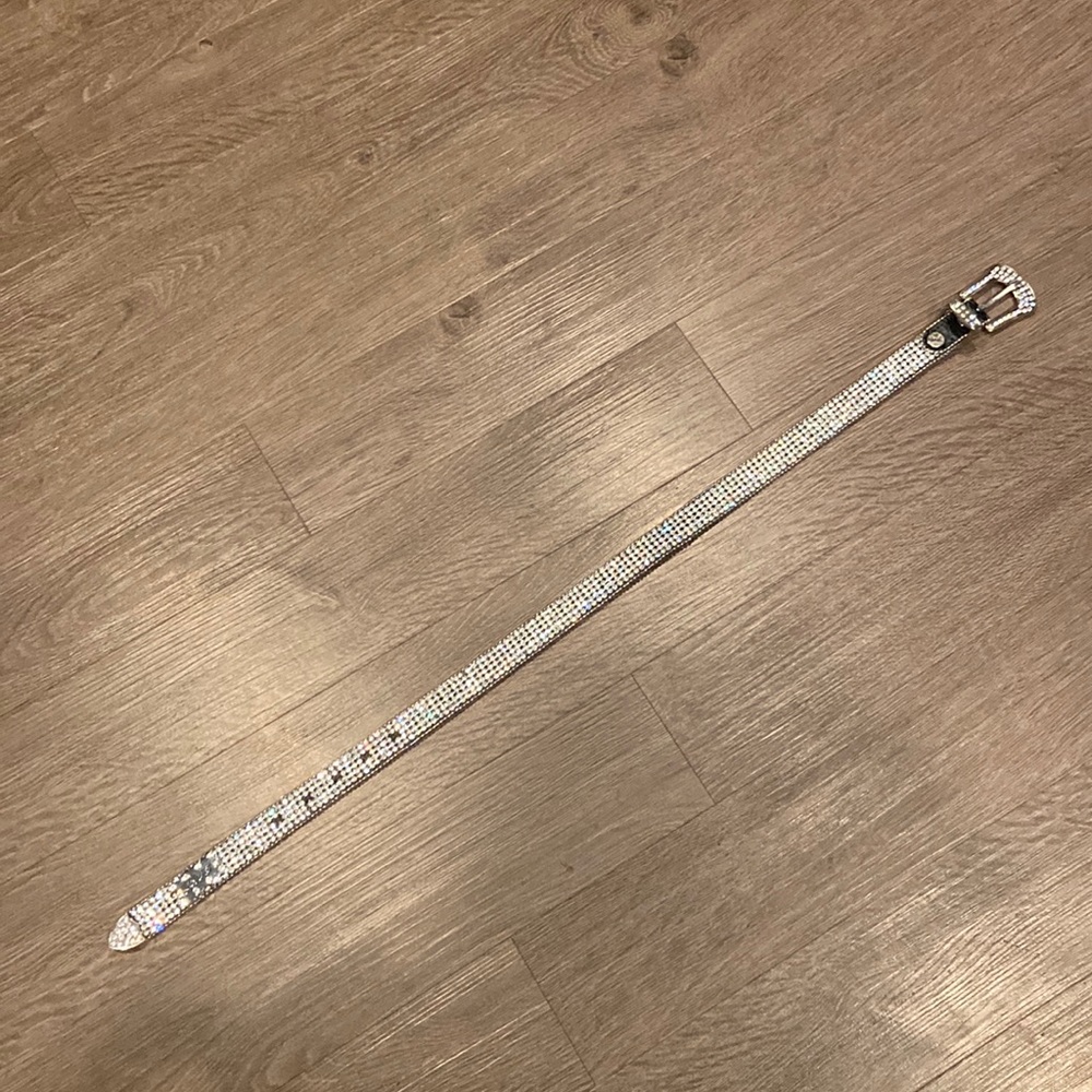 sparkly belt